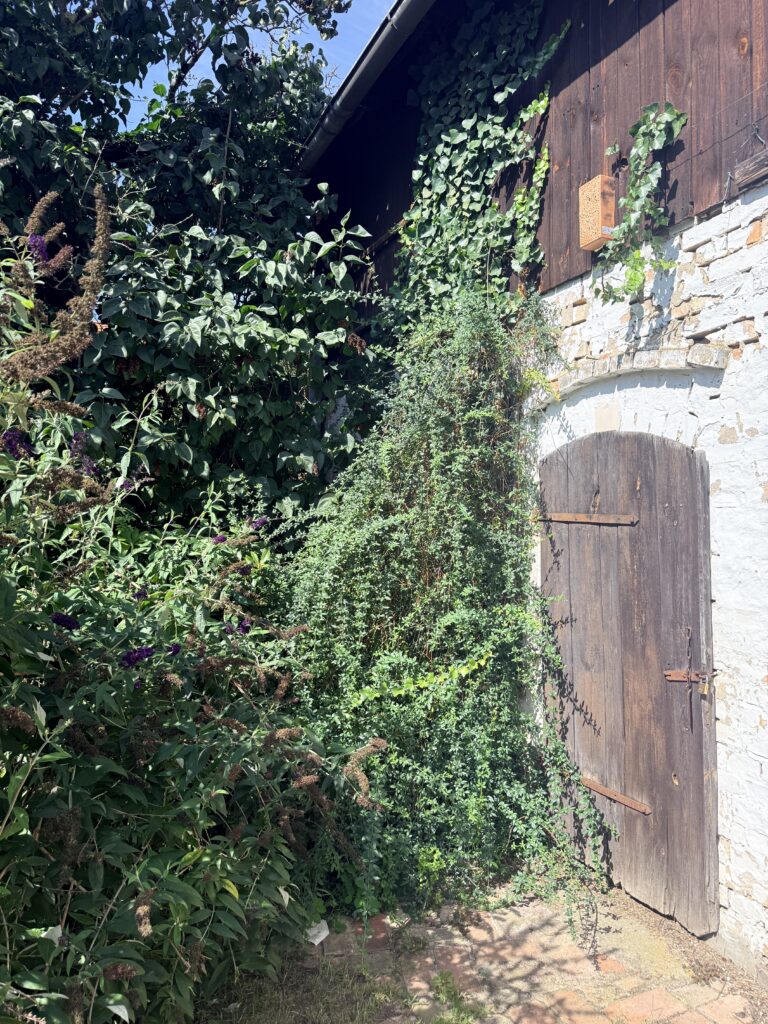 Eberswalder Str. 27 in Liebenwalde (OT Hammer) – Bild 21